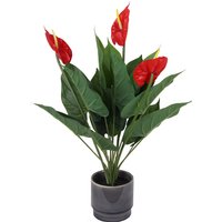 Artificial Anthurium in Ceramic Pot
Artificial Anthurium in Ceramic Pot