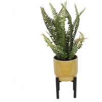 Artificial Fern in Ochre Pot with Stand
Artificial Fern in Ochre Pot with Stand