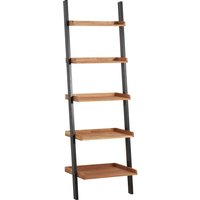 Phoenix Ladder Shelves
Phoenix Ladder Shelves
