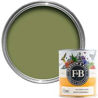 Farrow & Ball Natural History Museum Estate Eggshell Paint Sap Green - 750ml
Farrow & Ball Natural History Museum Estate Eggshell Paint Sap Green - 750ml