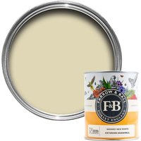 Farrow & Ball Natural History Museum Exterior Eggshell Paint Skimmed Milk White - 750ml
Farrow & Ball Natural History Museum Exterior Eggshell Paint Skimmed Milk White - 750ml