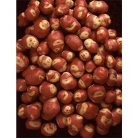 Seed Potato Ab Apache 5 Tubers
Seed Potato Ab Apache 5 Tubers