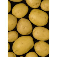 Seed Potato Ab Elfe 5 Tubers
Seed Potato Ab Elfe 5 Tubers