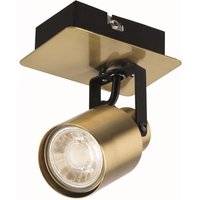 Lucy Single Lamp Spotlight, Gold/Black
Lucy Single Lamp Spotlight, Gold/Black