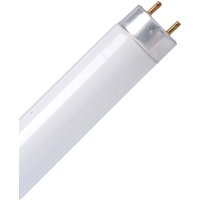 TCP Lightbulbs Led Tube 1500mm 19.1W Cool White
TCP Lightbulbs Led Tube 1500mm 19.1W Cool White