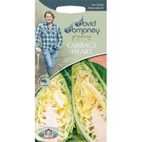 David Domoney Cabbage Heart Seeds
David Domoney Cabbage Heart Seeds