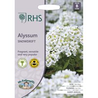 RHS Alyssum Snowdrift Seeds
RHS Alyssum Snowdrift Seeds