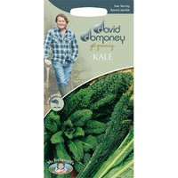 David Domoney Kale Seeds
David Domoney Kale Seeds