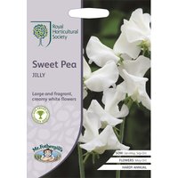 RHS Sweet Pea Jilly Seeds
RHS Sweet Pea Jilly Seeds