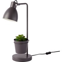 House Beautiful Bobby Plant Task Lamp - Grey
House Beautiful Bobby Plant Task Lamp - Grey