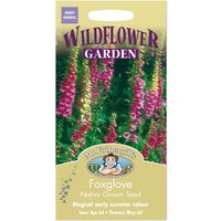 Mr. Fothergill's Wildflower Foxglove Seeds
Mr. Fothergill's Wildflower Foxglove Seeds