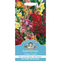 Antirrhinum Snappy Tongue
Antirrhinum Snappy Tongue