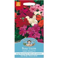 Mr. Fothergill's Busy Lizzie Safari Mixed F2 Seeds
Mr. Fothergill's Busy Lizzie Safari Mixed F2 Seeds