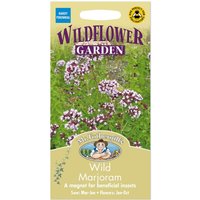 Mr. Fothergill's Wildflower Wild Marjoram Seeds
Mr. Fothergill's Wildflower Wild Marjoram Seeds