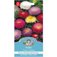 Mr. Fothergill's Aster Pompon Mixed Seeds
Mr. Fothergill's Aster Pompon Mixed Seeds