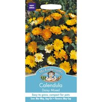 Mr. Fothergill's Calendula Daisy Mixed Seeds 
Mr. Fothergill's Calendula Daisy Mixed Seeds