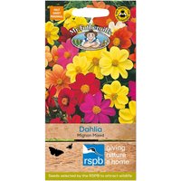 Mr. Fothergill's Dahlia Mignon Mixed Seeds
Mr. Fothergill's Dahlia Mignon Mixed Seeds