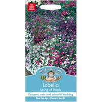 Mr. Fothergill's Lobelia String Of Pearls Seeds
Mr. Fothergill's Lobelia String Of Pearls Seeds
