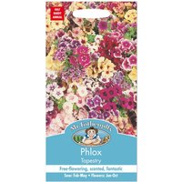 Mr. Fothergill's Phlox Tapestry Seeds 
Mr. Fothergill's Phlox Tapestry Seeds