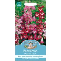 Mr. Fothergill's Penstemon Mixed Colours Seeds
Mr. Fothergill's Penstemon Mixed Colours Seeds