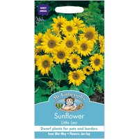 Mr. Fothergill's Sunflower Little Leo Seeds
Mr. Fothergill's Sunflower Little Leo Seeds