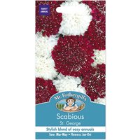 Mr. Fothergill's Scabious St George Seeds
Mr. Fothergill's Scabious St George Seeds