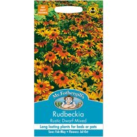 Mr. Fothergill's Rudbeckia Rustic Dwarf Mixed Seeds