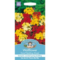Mr. Fothergill's Wallflower Dwarf Bedding Mixed Seeds
Mr. Fothergill's Wallflower Dwarf Bedding Mixed Seeds