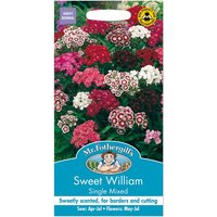 Mr. Fothergill's Sweet William Single Mixed Seeds
Mr. Fothergill's Sweet William Single Mixed Seeds