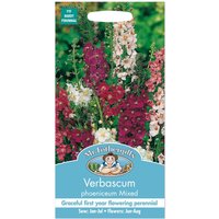 Mr. Fothergill's Verbascum Phoeniceum Mixed Seeds
Mr. Fothergill's Verbascum Phoeniceum Mixed Seeds