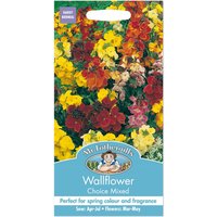 Mr. Fothergill's Wallflower Choice Mixed Seeds
Mr. Fothergill's Wallflower Choice Mixed Seeds