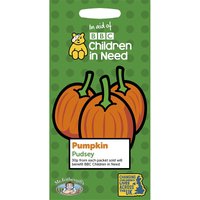 MRF CIN Pumpkin Pudsey Packet
MRF CIN Pumpkin Pudsey Packet