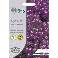 RHS Alyssum Violet Queen
RHS Alyssum Violet Queen