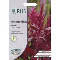 RHS Amaranthus Velvet Curtains
RHS Amaranthus Velvet Curtains
