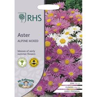 RHS Aster Alpine Mixed
RHS Aster Alpine Mixed