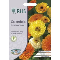 RHS Calendula Fiesta Gitana
RHS Calendula Fiesta Gitana