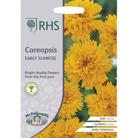 RHS Coreopsis Early Sunrise
RHS Coreopsis Early Sunrise