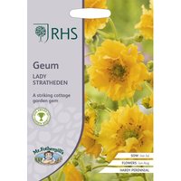 RHS Geum Lady Stratheden
RHS Geum Lady Stratheden