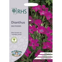 RHS Dianthus Deltoides
RHS Dianthus Deltoides