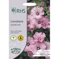 RHS Lavatera Sliver Cup
RHS Lavatera Sliver Cup
