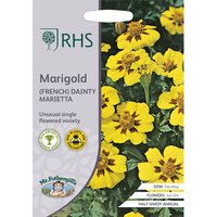RHS Marigold (French) Dainty Marietta
RHS Marigold (French) Dainty Marietta