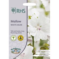 RHS Mallow White Musk
RHS Mallow White Musk