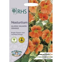 RHS Nasturtium Alaska Salmon Orange
RHS Nasturtium Alaska Salmon Orange