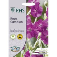 RHS Rose Campion
RHS Rose Campion