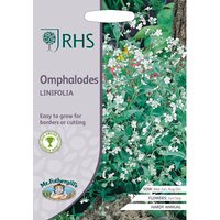 RHS Omphalodes Iinifolla
RHS Omphalodes Iinifolla