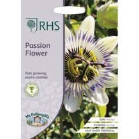 RHS Passion Flower
RHS Passion Flower