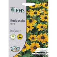 RHS Rudbeckia Toto
RHS Rudbeckia Toto