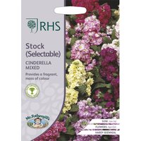 RHS Stock Cinderella Mixed
RHS Stock Cinderella Mixed
