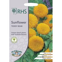 RHS Sunflower Teddy Bear
RHS Sunflower Teddy Bear