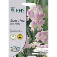 RHS Sweet Pea Pink Pearl
RHS Sweet Pea Pink Pearl